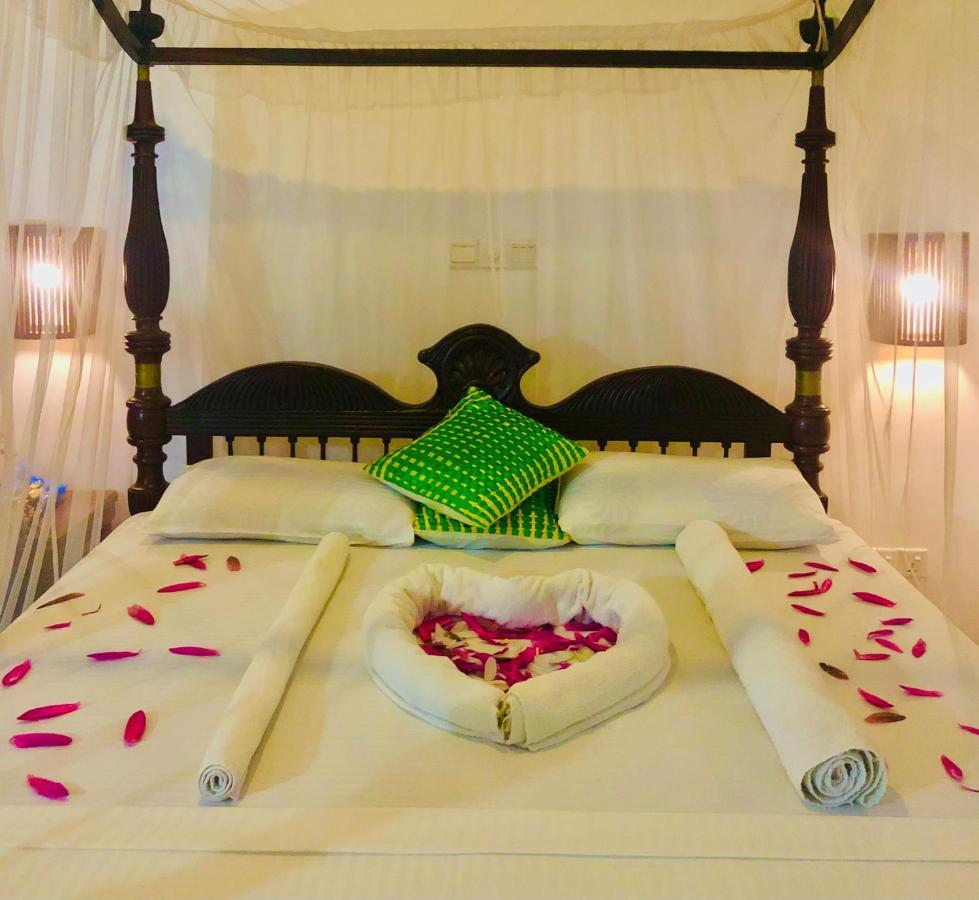 Saman Resort Yala Tissamaharama Exteriör bild