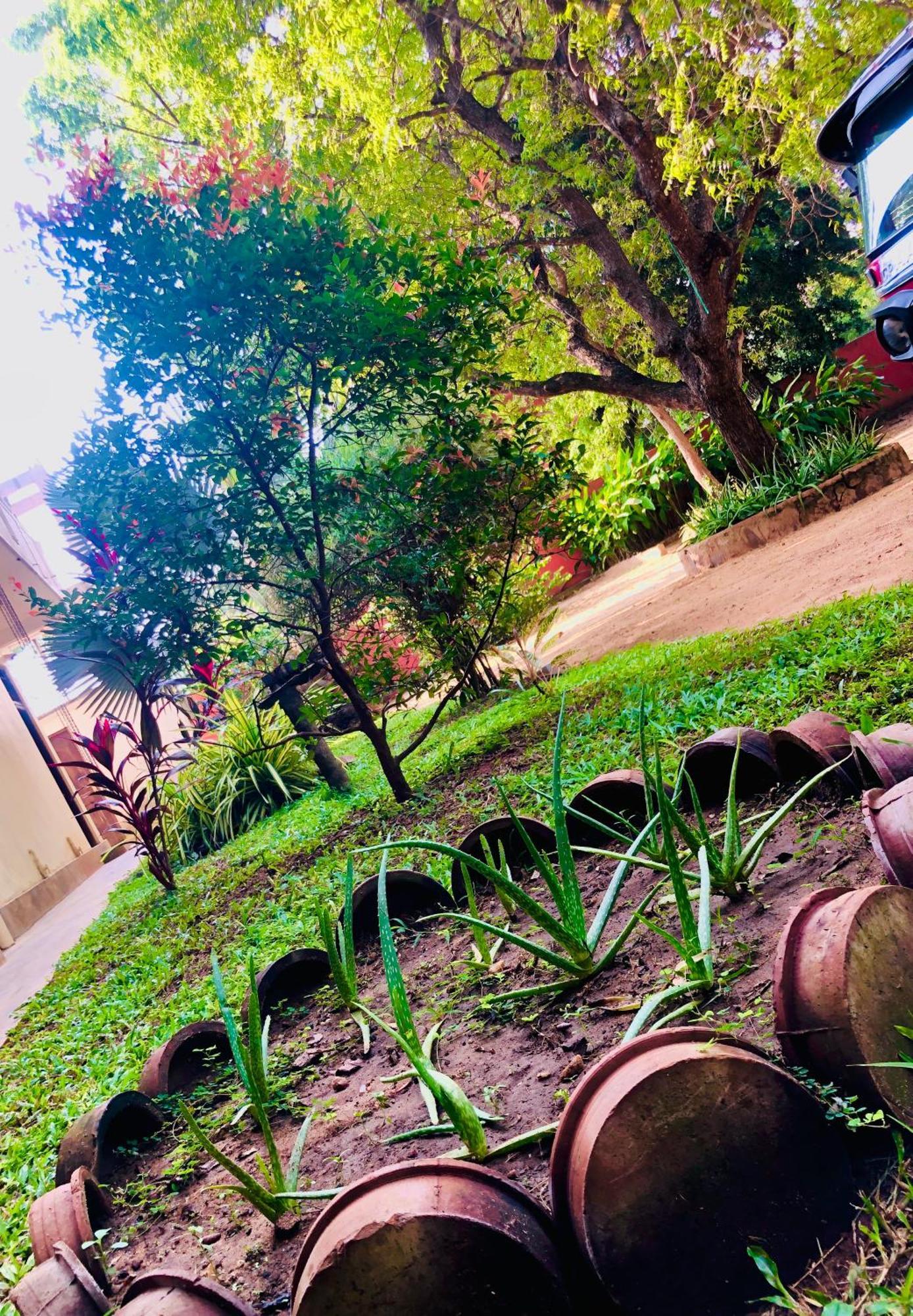 Saman Resort Yala Tissamaharama Exteriör bild
