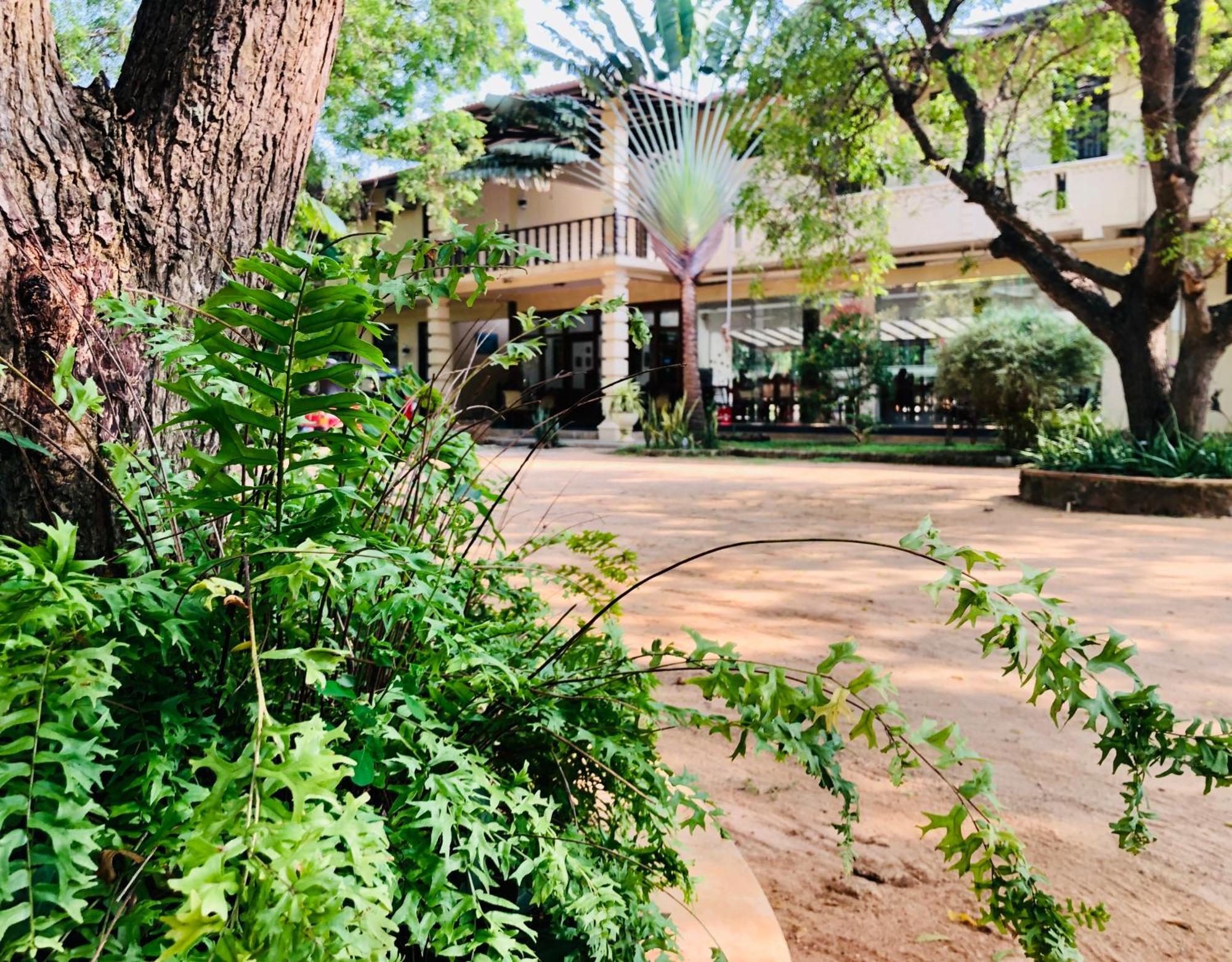 Saman Resort Yala Tissamaharama Exteriör bild