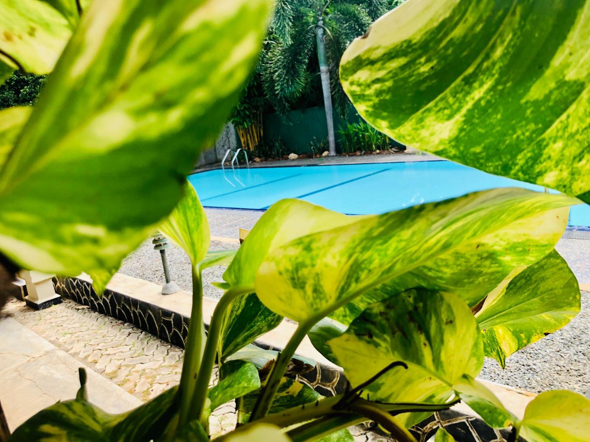 Saman Resort Yala Tissamaharama Exteriör bild