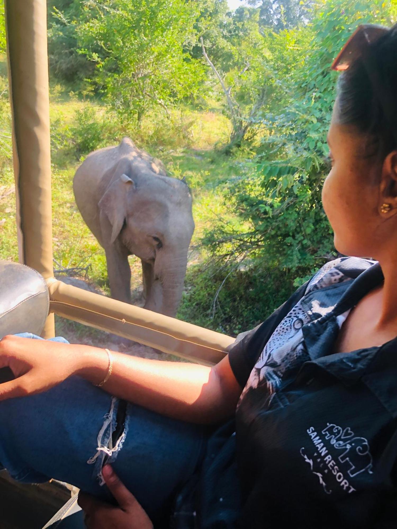 Saman Resort Yala Tissamaharama Exteriör bild