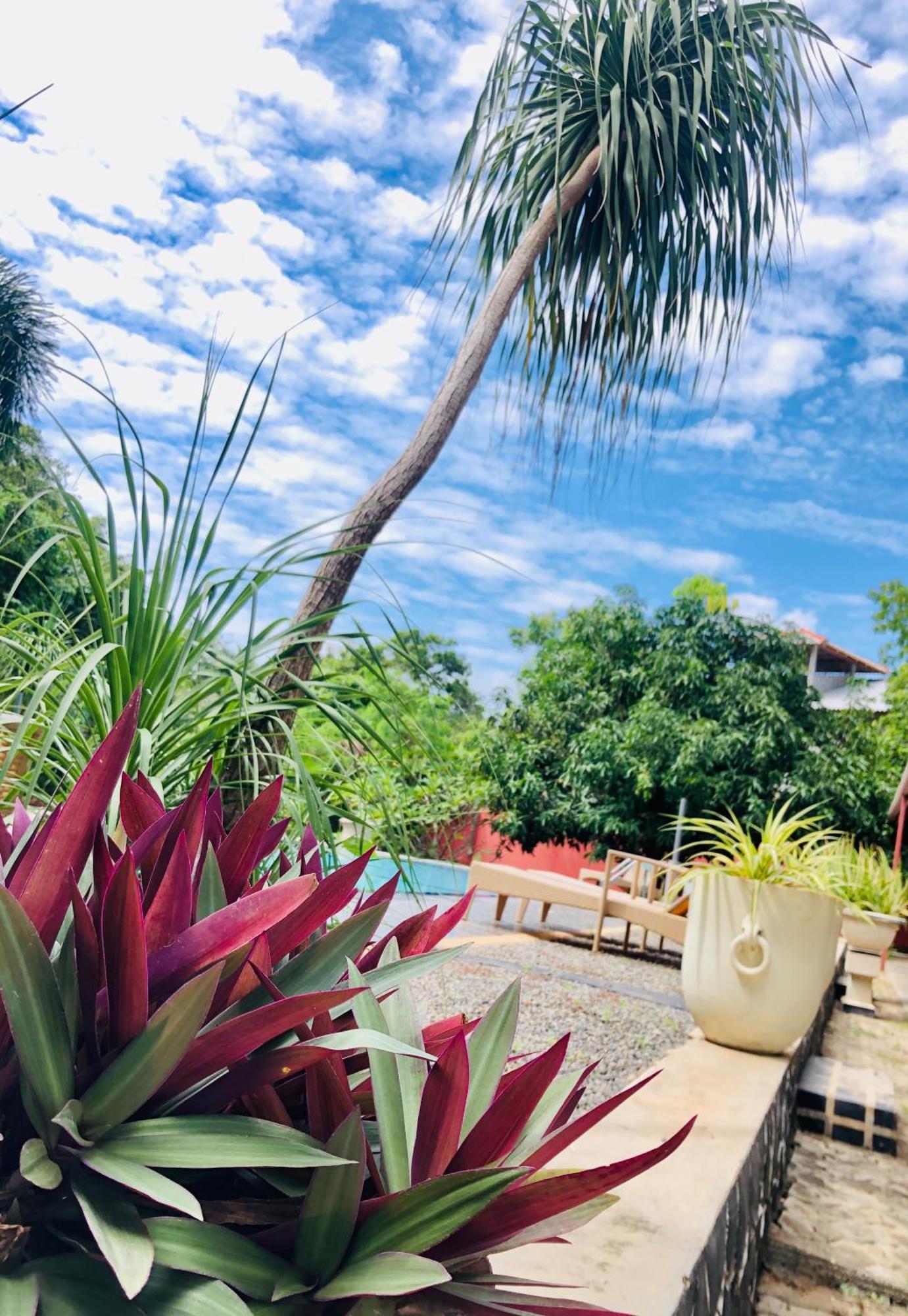 Saman Resort Yala Tissamaharama Exteriör bild