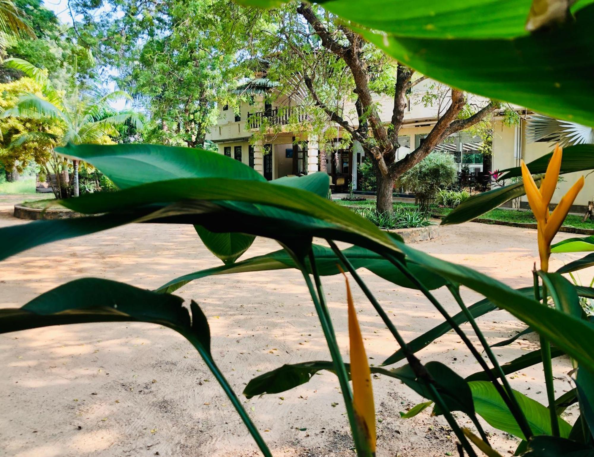 Saman Resort Yala Tissamaharama Exteriör bild