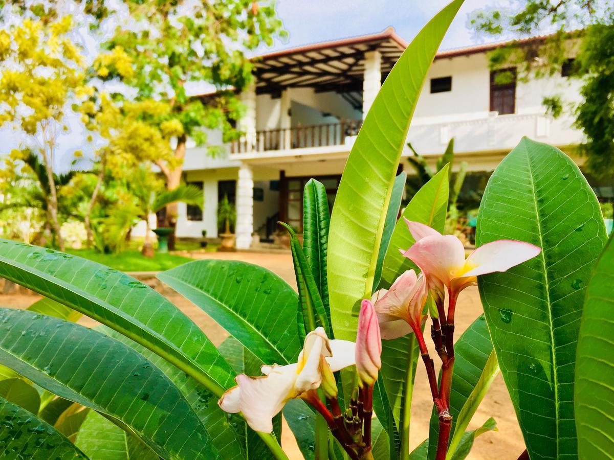 Saman Resort Yala Tissamaharama Exteriör bild